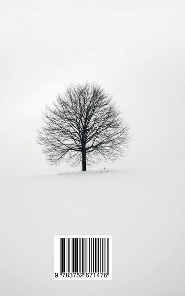Produktbild: Rumis Blick