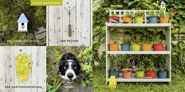 Produktbild: Wo ist Momo?