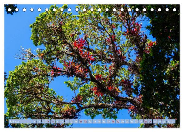 Produktbild: Farbenfrohes Costa Rica (Tischkalender 2026 DIN A5 quer), CALVENDO Monatskalender