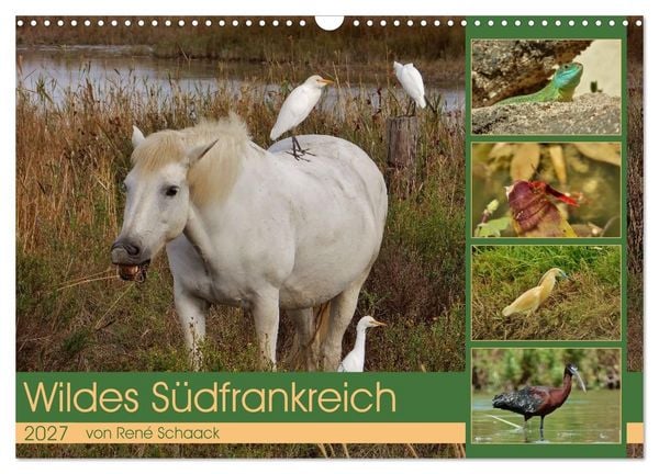 Produktbild: Wildes S&uuml;dfrankreich (Wandkalender 2027 DIN A3 quer), CALVENDO Monatskalender