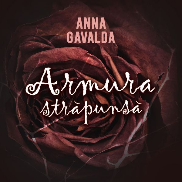 Armura străpunsă - Anna Gavalda, Audio, 9789152160992