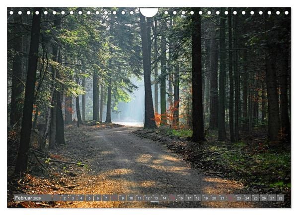 Produktbild: Schwarzwald-Wanderungen (Wandkalender 2026 DIN A4 quer), CALVENDO Monatskalender