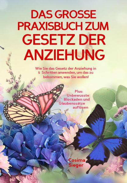 Produktbild: DAS GROSSE PRAXISBUCH ZUM GESETZ DER ANZIEHUNG! Wie Sie das Gesetz der Anziehung in 5 Schritten anwenden, um das zu bekommen, was Sie wollen!