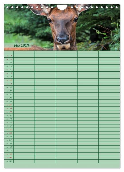 Produktbild: Tierischer Familienplaner (Wandkalender 2027 DIN A4 hoch), CALVENDO Monatskalender