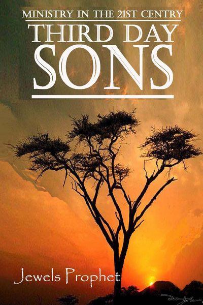 Produktbild: Third Day Sons