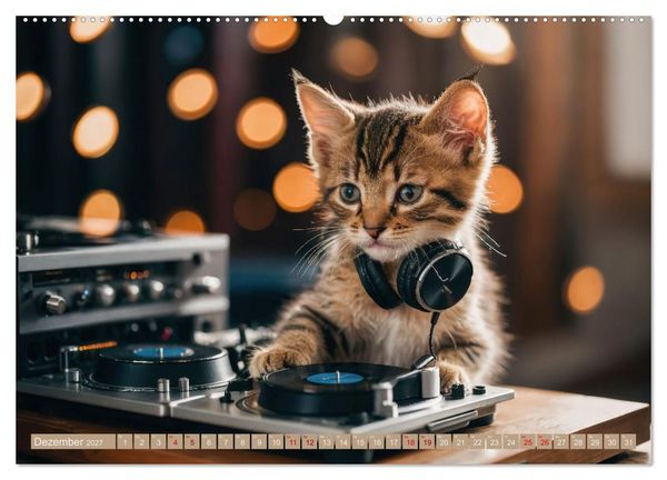 Produktbild: Miau-sikalische Momente (Wandkalender 2027 DIN A2 quer), CALVENDO Monatskalender
