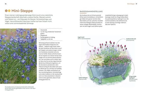 Mein Garten wächst im Topf
