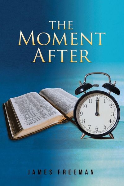 Produktbild: The Moment After
