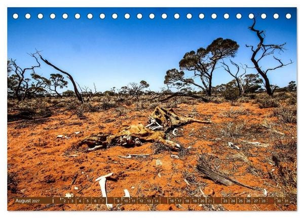 Produktbild: Outback Life - Australien (Tischkalender 2027 DIN A5 quer), CALVENDO Monatskalender