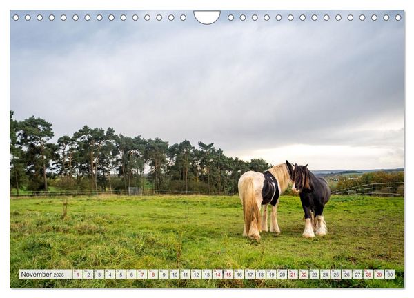 Produktbild: Nationalpark Eifel - Sch&ouml;ne Tage im Gr&uuml;nen (Wandkalender 2026 DIN A4 quer), CALVENDO Monatskalender