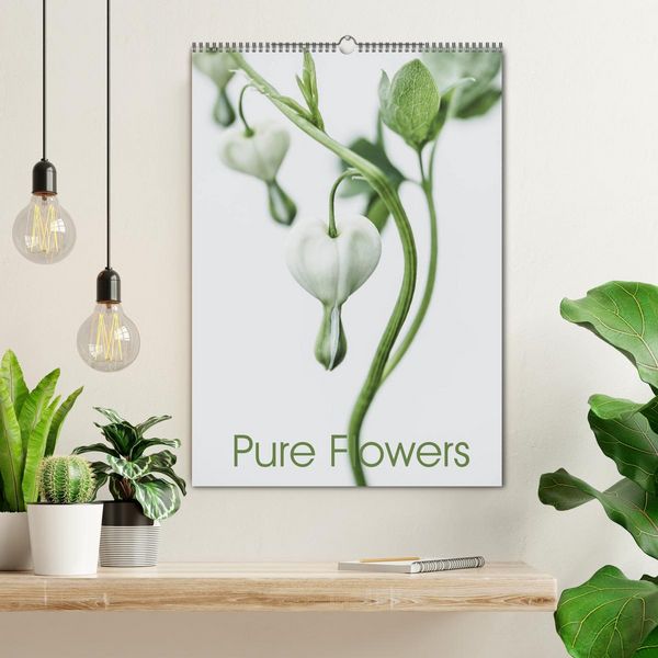 Produktbild: Pure Flowers (Wandkalender 2026 DIN A2 hoch), CALVENDO Monatskalender