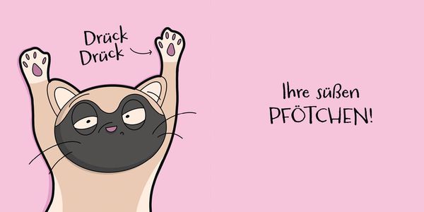 Produktbild: Katzen (sind) verr&uuml;ckt &ndash; 40 Gr&uuml;nde, warum deine Katze nicht von dieser Welt ist
