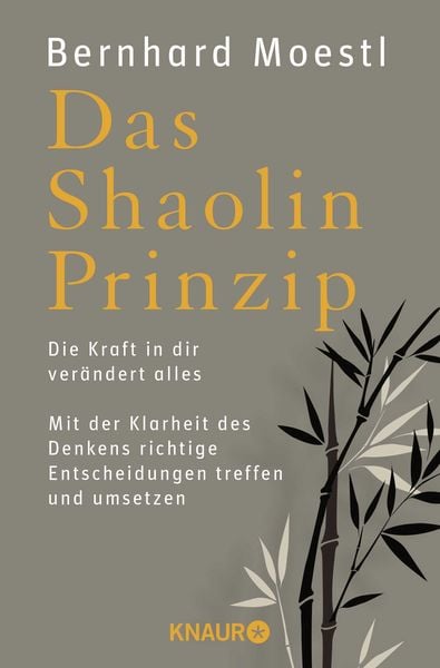 Produktbild: Das Shaolin-Prinzip