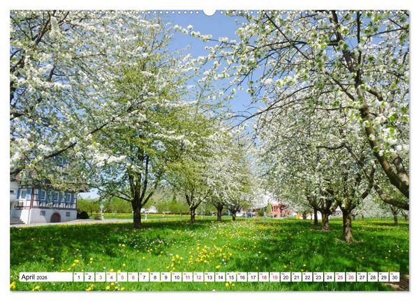 Produktbild: Idyllischer Schwarzwald (Wandkalender 2026 DIN A2 quer), CALVENDO Monatskalender