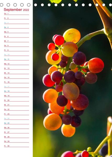 Produktbild: Wein und Sekt (Tischkalender 2022 DIN A5 hoch)