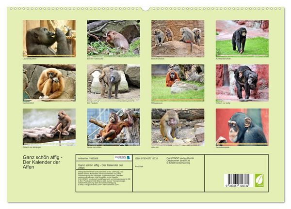 Produktbild: Ganz sch&ouml;n affig - Der Kalender der Affen (hochwertiger Premium Wandkalender 2026 DIN A2 quer), Kunstdruck in Hochglanz