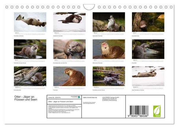 Produktbild: Otter - J&auml;ger an Fl&uuml;ssen und Seen (Wandkalender 2026 DIN A4 quer), CALVENDO Monatskalender