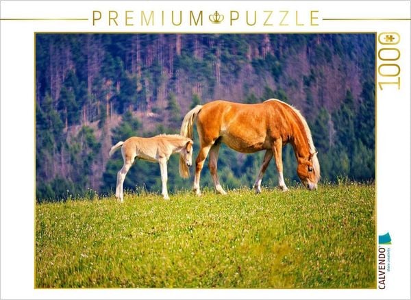 CALVENDO Puzzle Haflinger Stute mit Fohlen | 1000 Teile Lege-Größe 64x48cm Foto-Puzzle für glückliche Stunden, Sonstige von , Calvendo Puzzle,
