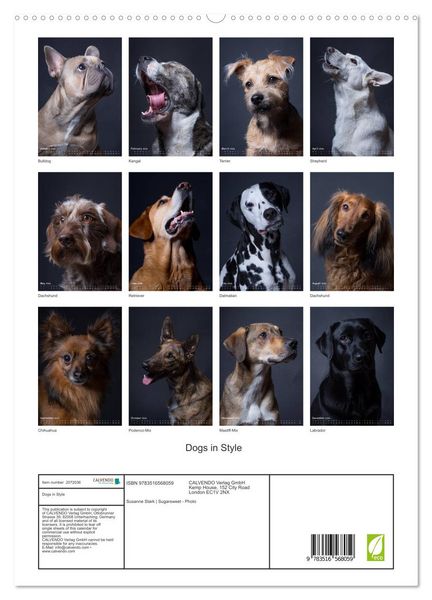 Produktbild: Dogs in Style (High Quality Premium Wall Calendar 2026 DIN A2 portrait),CALVENDO 12 Month Wall Calendar