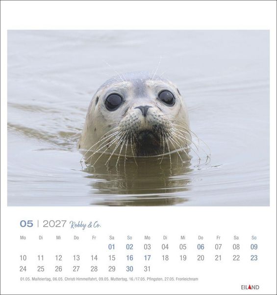 Produktbild: Robby & Co. Postkartenkalender 2027