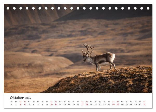 Produktbild: Rentiere (Tischkalender 2026 DIN A5 quer), CALVENDO Monatskalender