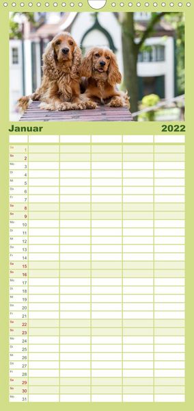 Produktbild: Familienplaner English Cocker Spaniel - Fr&ouml;hliche Gesellen (Wandkalender 2022 , 21 cm x 45 cm, hoch)