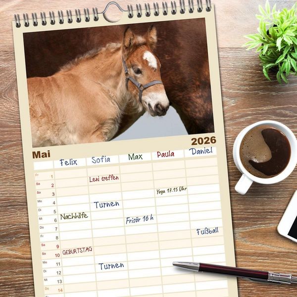 Produktbild: Familienplaner 2026 - Kaltblut - schwere Pferde mit Herz mit 5 Spalten (Wandkalender, 21 x 45 cm) CALVENDO