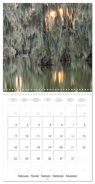 Produktbild: Mississippi Delta, Magic Swamps (Wall Calendar 2026 12 &times; 12 Inch) CALVENDO 12 Month Wall Calendar