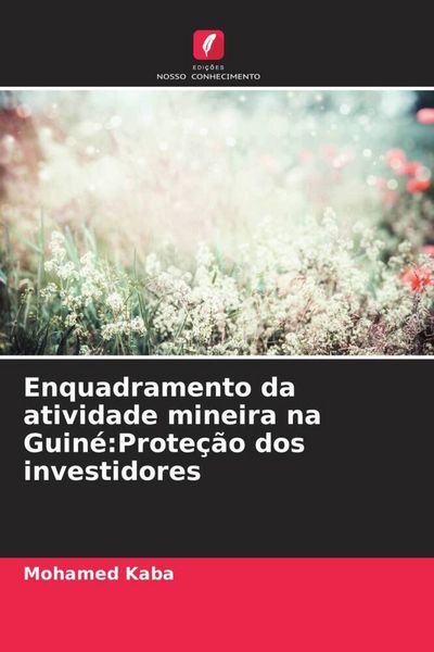 Produktbild: Enquadramento da atividade mineira na Guin&eacute;:Prote&ccedil;&atilde;o dos investidores