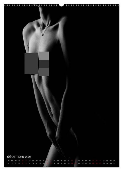 Produktbild: Apparat lumineux (Calendrier mural 2026 DIN A2 horizontal) calendrier de bureau