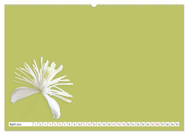 Produktbild: DIY POESIE - BASTELKALENDER (hochwertiger Premium Wandkalender 2026 DIN A2 quer), Kunstdruck in Hochglanz