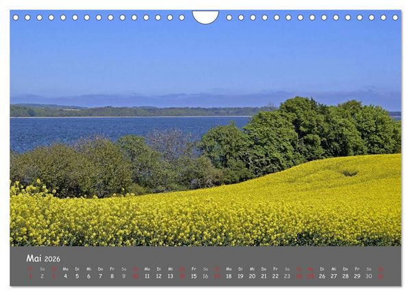 Produktbild: R&uuml;gen &ndash; Insel der Superlative (Wandkalender 2026 DIN A4 quer), CALVENDO Monatskalender
