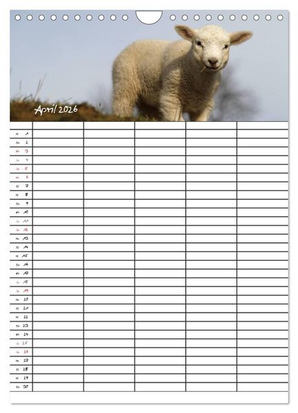 Produktbild: Familienplaner - Sylt (Wandkalender 2026 DIN A4 hoch), CALVENDO Monatskalender