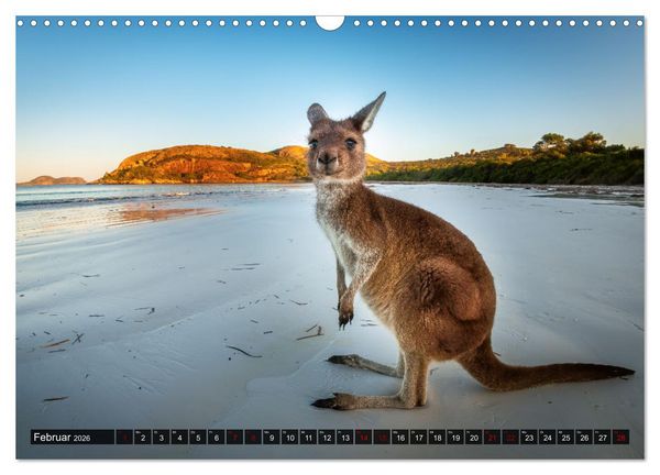 Produktbild: Wildtierkalender (Wandkalender 2026 DIN A3 quer), CALVENDO Monatskalender