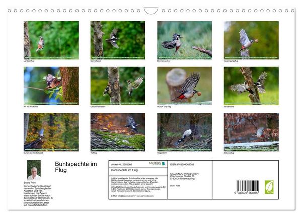 Produktbild: Buntspechte im Flug (Wandkalender 2027 DIN A3 quer), CALVENDO Monatskalender