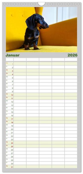 Produktbild: Familienplaner 2026 - Dackelblicke - Lassen Herzen erw&auml;rmen. mit 5 Spalten (Wandkalender, 21 x 45 cm) CALVENDO