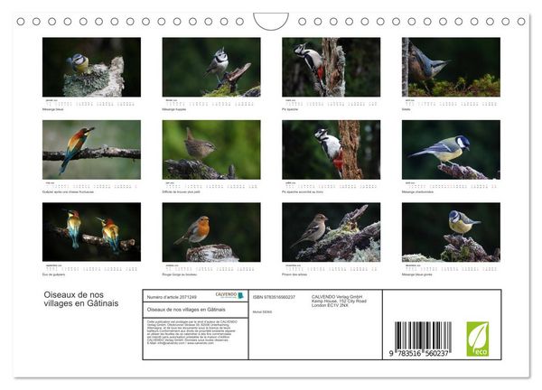 Produktbild: Oiseaux de nos villages en G&acirc;tinais (Calendrier mural 2026 DIN A4 vertical), CALVENDO calendrier mensuel