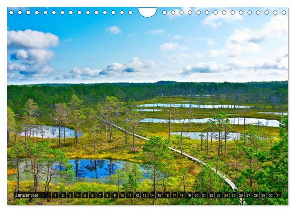 Produktbild: Bezauberndes Estland (Wandkalender 2026 DIN A4 quer), CALVENDO Monatskalender