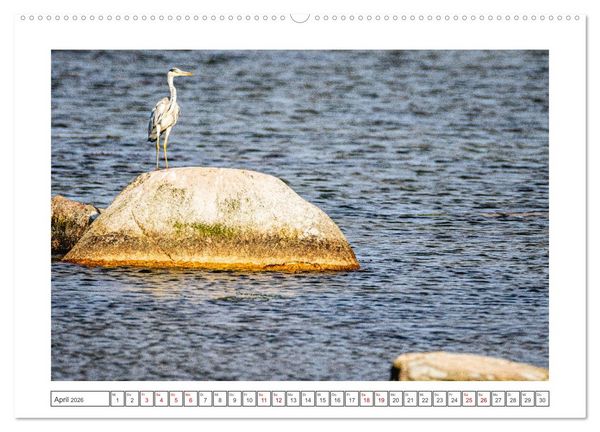 Produktbild: Lolland - Harmonie von Mensch und Natur (Wandkalender 2026 DIN A2 quer), CALVENDO Monatskalender