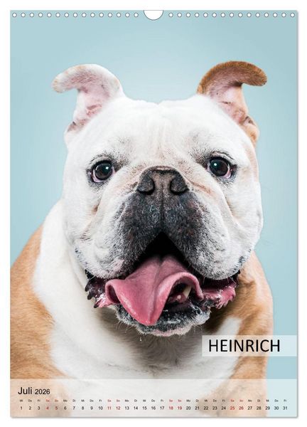 Produktbild: Hundekalender - Hunderassen im Portrait (Wandkalender 2026 DIN A3 hoch), CALVENDO Monatskalender