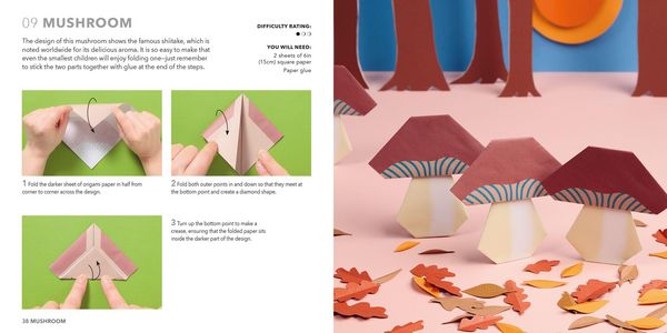 Produktbild: Nature Origami