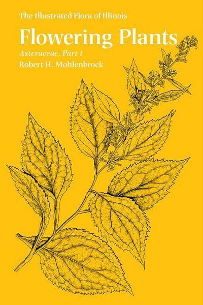 Produktbild: Mohlenbrock, R: Flowering Plants