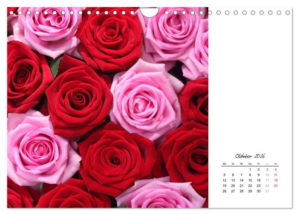 Produktbild: Die vielen Gesichter der Rosen (Wandkalender 2026 DIN A4 quer), CALVENDO Monatskalender