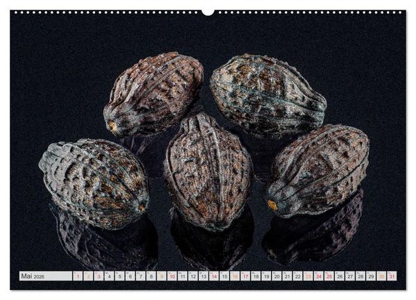 Produktbild: Zauber der kleinen Dinge (hochwertiger Premium Wandkalender 2026 DIN A2 quer), Kunstdruck in Hochglanz