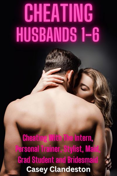 Produktbild: Cheating Husbands 1-6