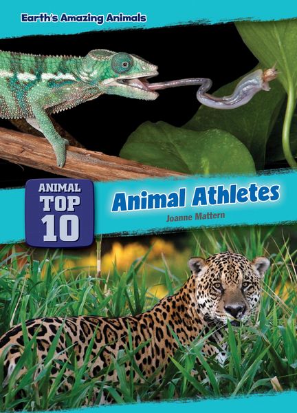 Produktbild: Animal Athletes