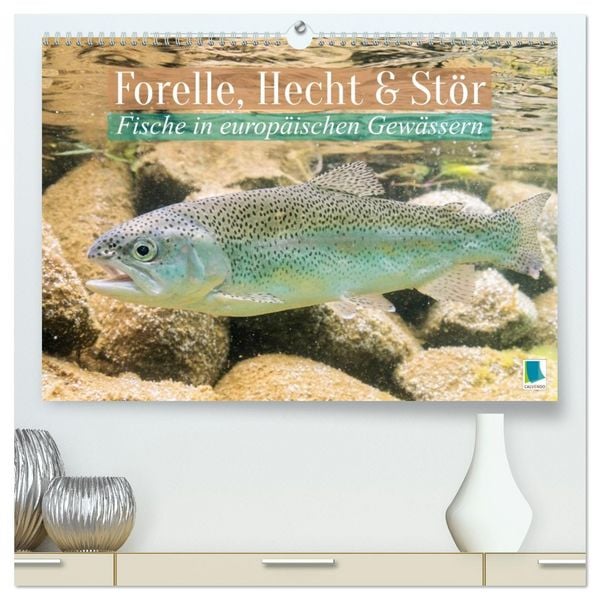Produktbild: Forelle, Hecht und St&ouml;r: Fische in europ&auml;ischen Gew&auml;ssern (hochwertiger Premium Wandkalender 2026 DIN A2 quer), Kunstdruck in Hochglanz