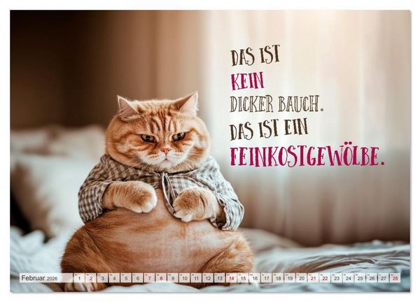 Produktbild: FLAUSCHFIGUR DELUXE Jeden Monat ein H&auml;ppchen Humor (Wandkalender 2026 DIN A4 quer), CALVENDO Monatskalender