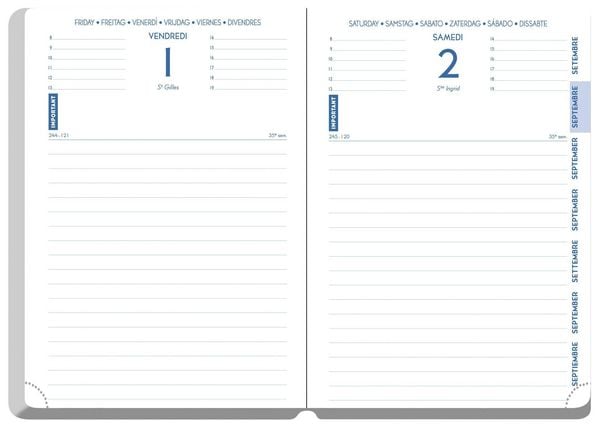 Produktbild: Sch&uuml;lerkalender Forum Office Winner 2026 / 2027