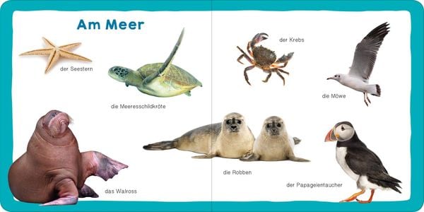 Produktbild: Meine ersten 100 Tiere